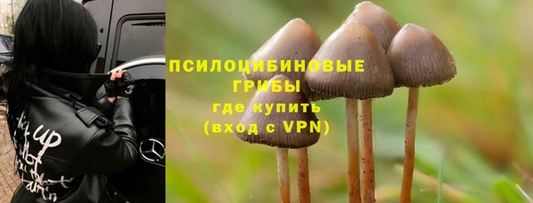 стафф Дмитров