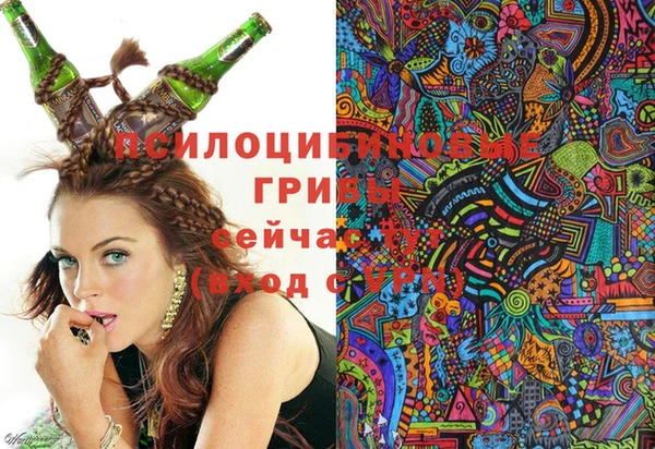 стафф Дмитров