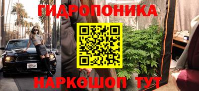 мдма Новозыбков