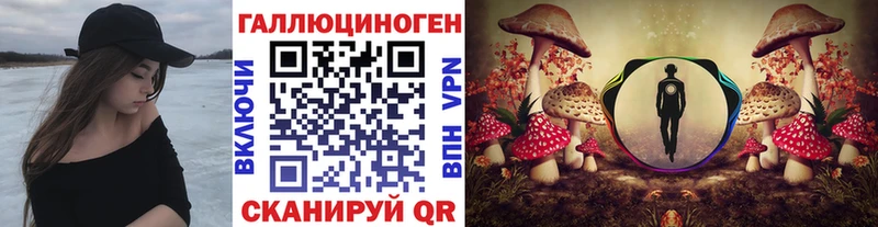 Галлюциногенные грибы Psilocybe  Искитим 